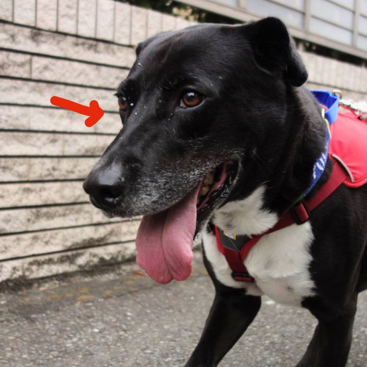 Fe184bc0 3909 4103 9d40 b896601336b4 1666398599165