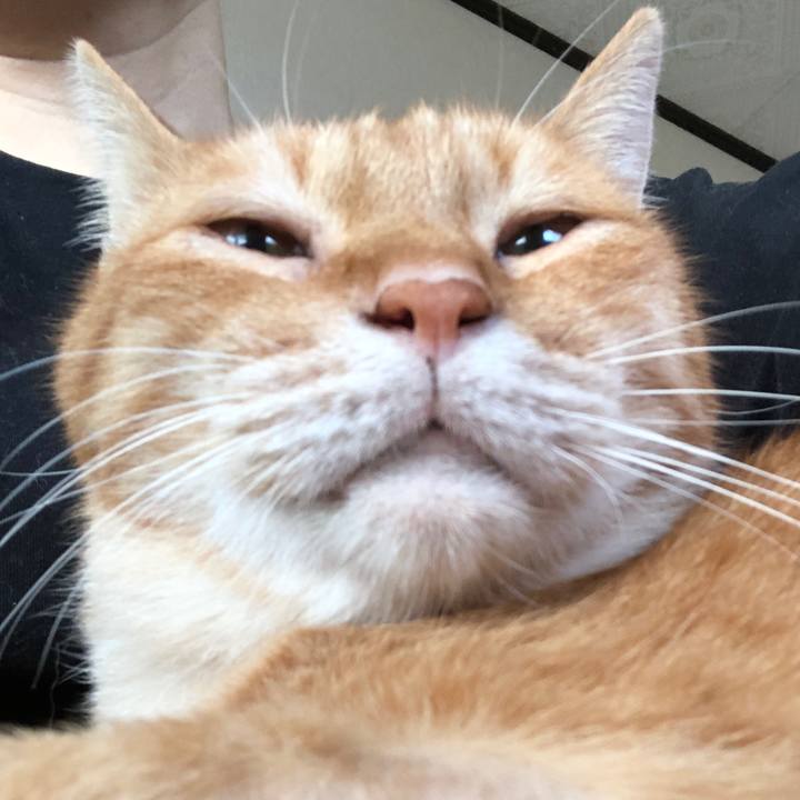 Fe18526d fc46 4843 82b2 47ba95144b6b 1694900127490