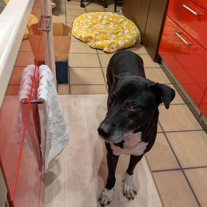 Fe185407 60ae 478e aa77 518864271f65 1737457880922