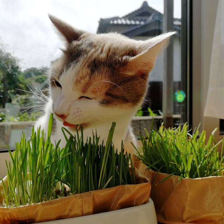 Fe18648f 4ab8 4a5e 94a3 dd423dd91437 1562225622732