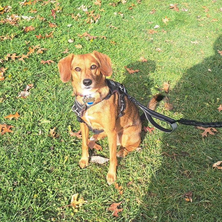 Fe18a5d5 d679 48e0 b09f 2b90a37a4a2b 1763499594759