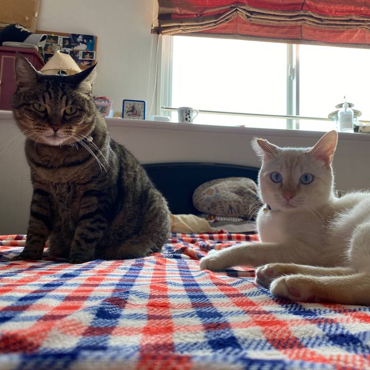 Fe18b496 61ab 45f4 820b a811630a4748 1635043281788