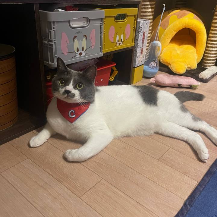 Fe18be1e 6e94 4ebe 9f0b 53b95e4762d1 1690297174279