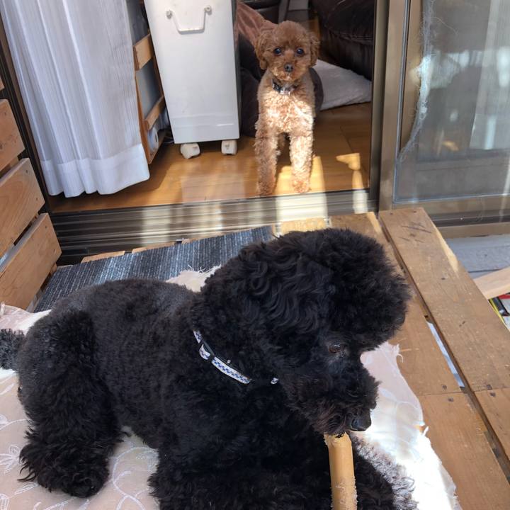 Fe18c7ec daf3 4405 b689 0bfd88605032 1550969362640