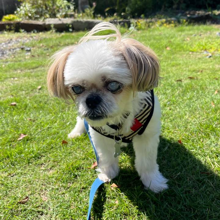 Fe18f73c 63c1 46b2 9a28 ecc44aeccb32 1758710541227