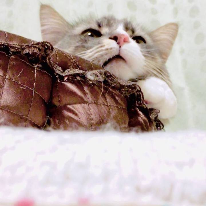 Fe18fb62 5a2d 42ab bbec 23235c074dd4 1580063155644