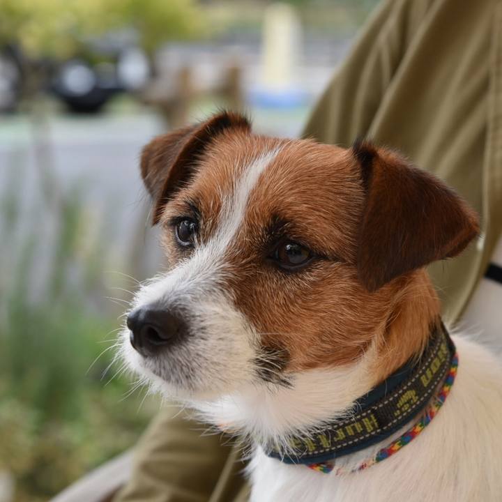 Fe19035a 4588 4c8a 8504 af445fbe4b98 1508848700137