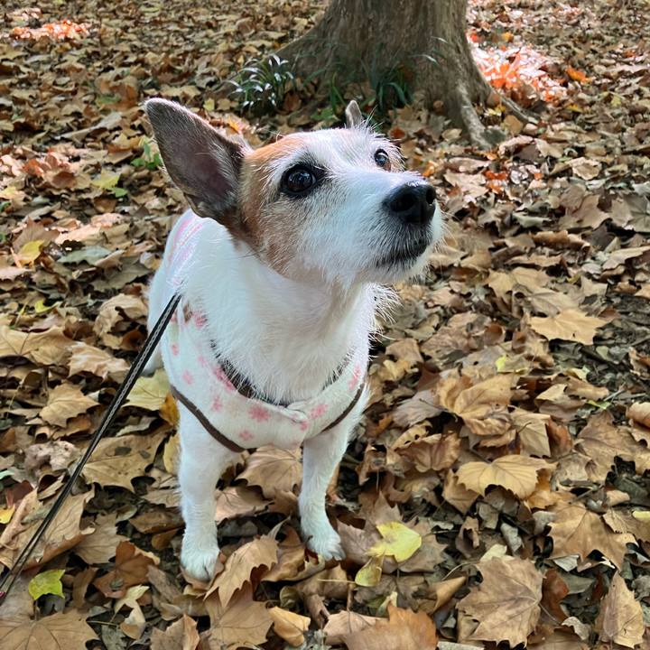 Fe190564 6e06 4527 8f4e ad2b239d7d42 1667432074592