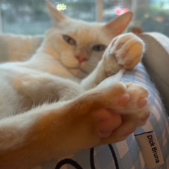 Fe1914da 8b27 4f52 9179 fa8d9a9681d3 1758292167107