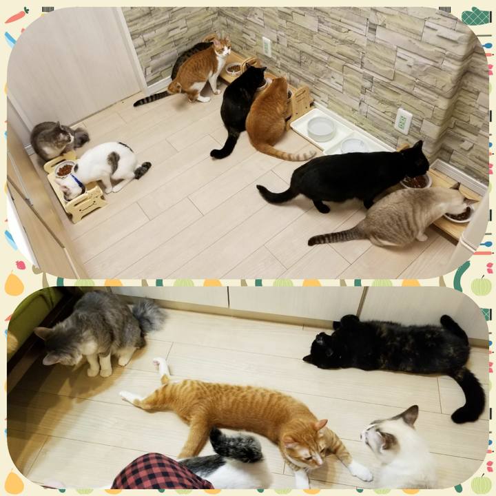 Fe1952e1 5459 40e0 bd18 10203216204d 1523449096317