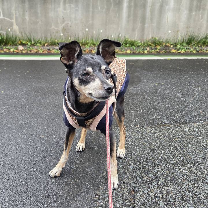 Fe199512 a918 4e61 9c29 aced0fe3186b 1760919222789