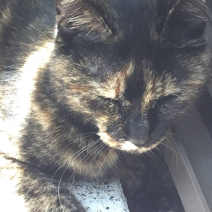 Fe19ed95 8f3c 46a3 92f8 f39dd98f28f4 1553324980632