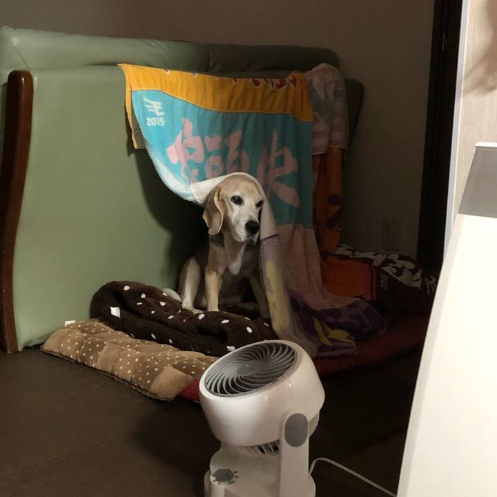 Fe19f4a3 4b98 480d a2b8 201aef7c41c4 1582088854179