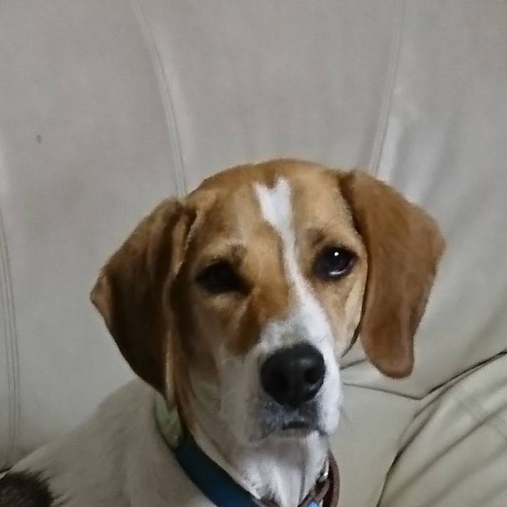 Fe1a0755 91db 4c9d 81c0 f9ebecb19155 1574387482330