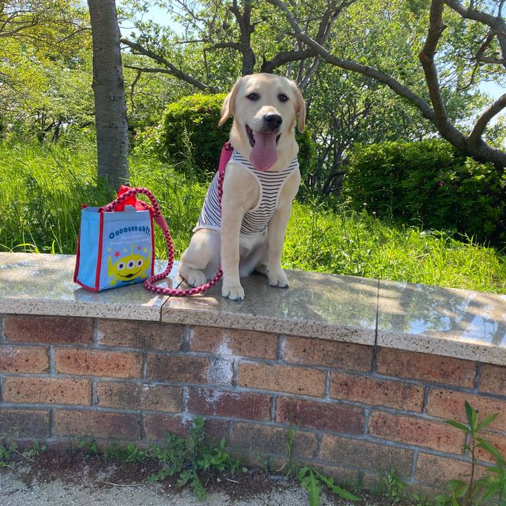 Fe1a2406 3613 4f6e a462 04a6d20258af 1619414060449