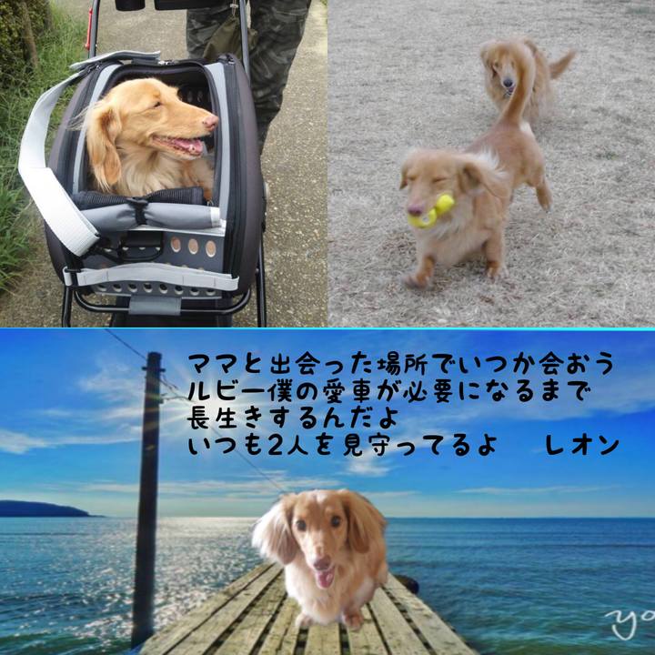 Fe1a44c3 0b6a 40b9 8a42 2d3432b665c1 1547749328418