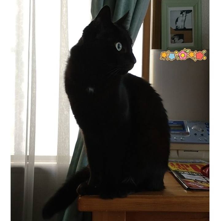 Fe1a74cd 479d 46d9 9302 170487c279e7 1632611132317