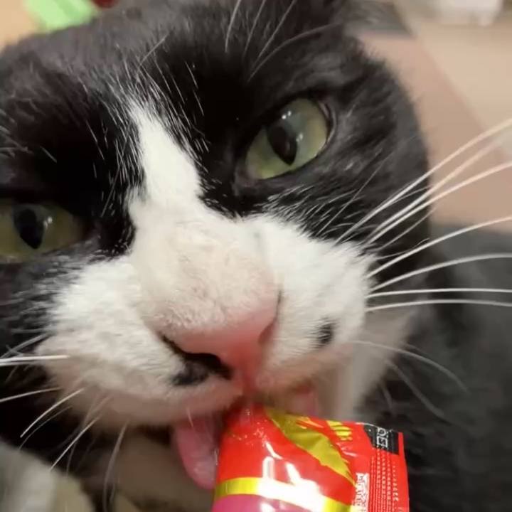 Fe1a8034 650b 415f b01c b62b53cb54d2 1743561894905