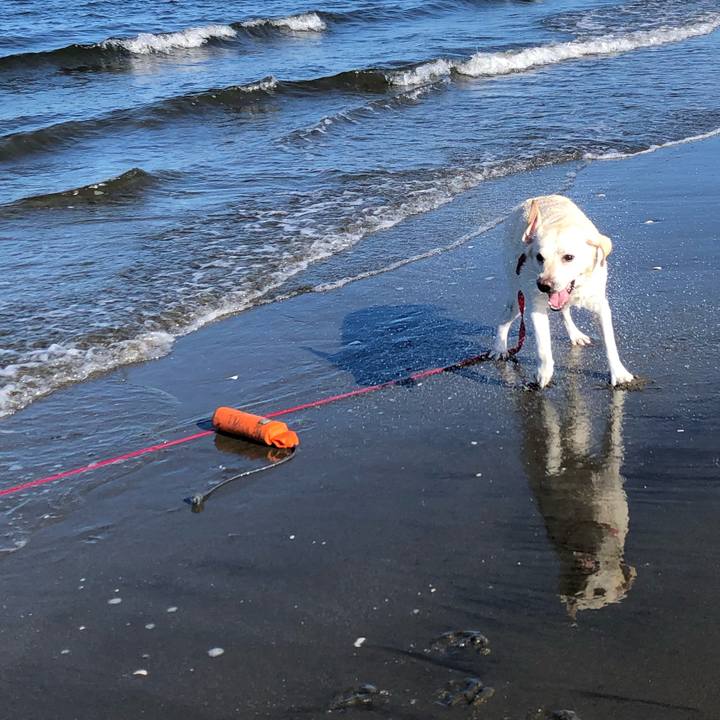 Fe1acc54 00b7 4c9b 80a1 11134c4b35e2 1629433914920