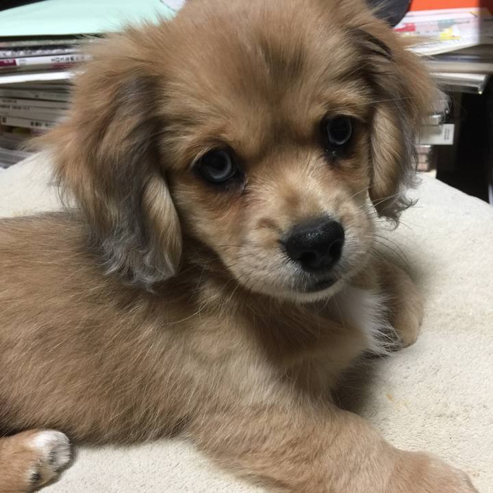 Fe1adaa2 1bbb 4d23 b2e2 e410b38eda3e 1678400860230