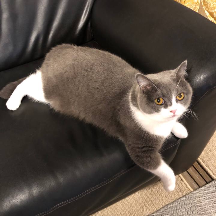 Fe1b038a 0488 411d 92c6 a25b7f5611a2 1563883221341