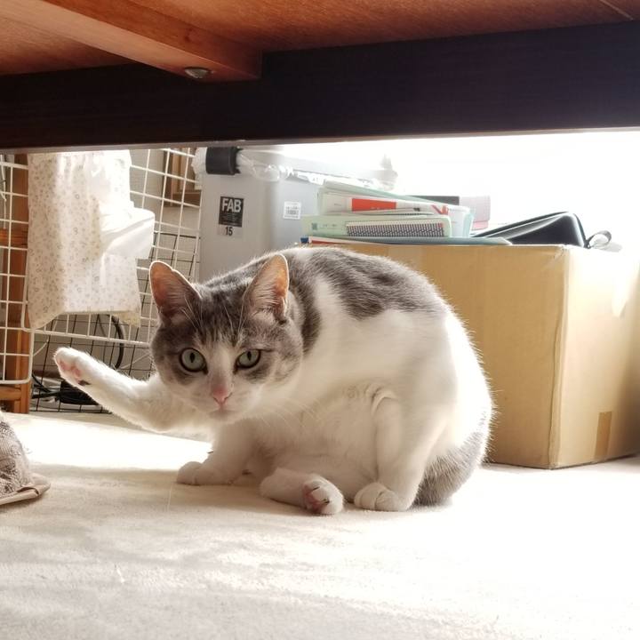 Fe1b15ad c3f4 4bba 9000 b12c911eccf9 1679585856022