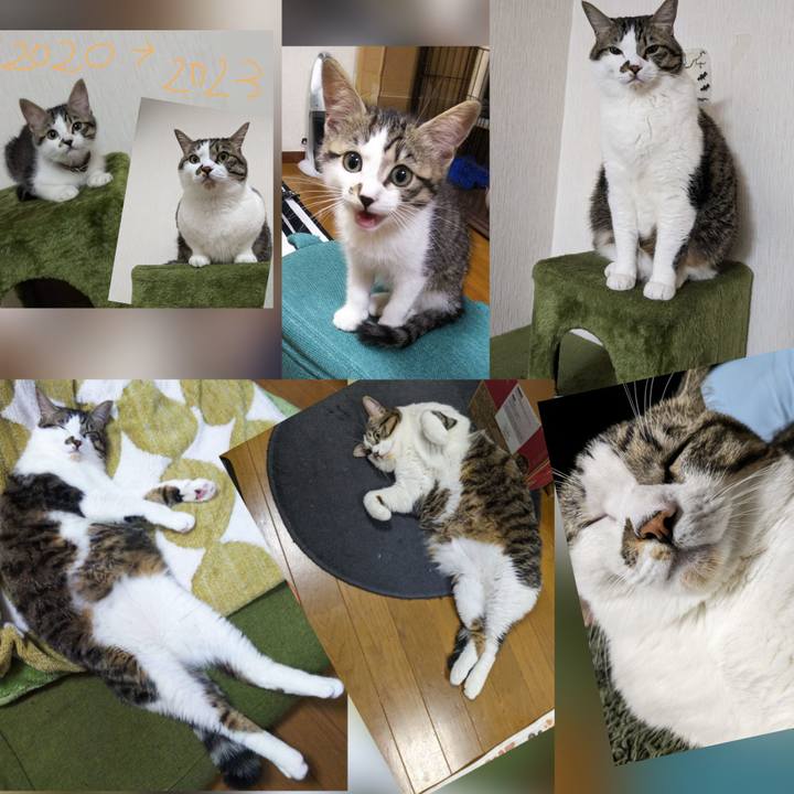 Fe1b2084 16fe 4fc8 98da 06873ccc6205 1700635366776