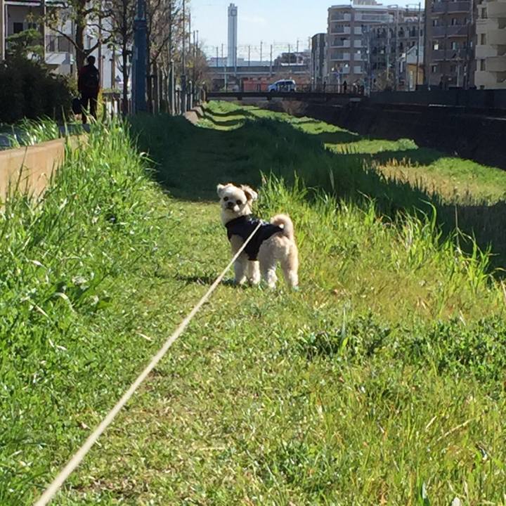 Fe1b40d2 359a 4e0e 8bd3 6345dc049ff7 1552031641271