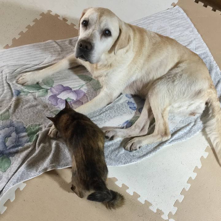 Fe1b56c8 1338 40fd 9724 fd7dd5377dec 1530094316683