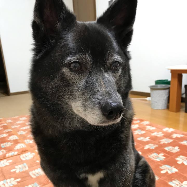 Fe1b832b ff12 4626 bfdf 69ab6a1fc346 1555807370489