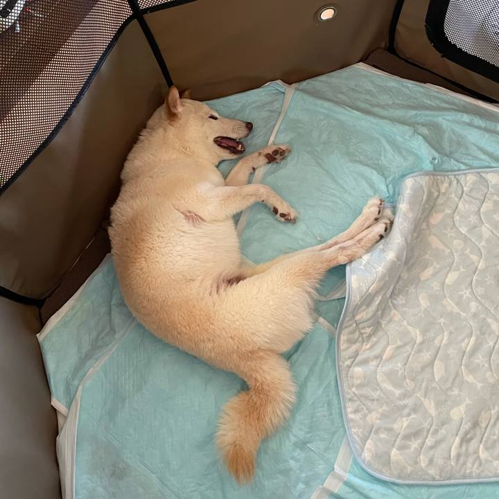 Fe1bac02 1a78 41b0 866f f53ef65a8bd0 1658299595135