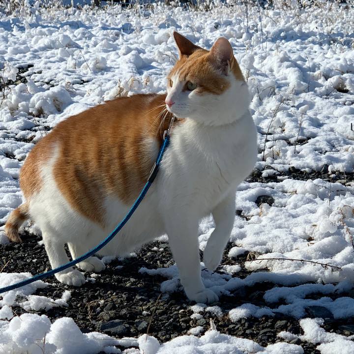 Fe1bb58c 9c0d 4e1f 8483 601d5c13786d 1581390433771