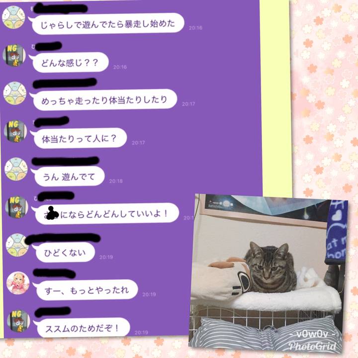 Fe1c200e ae4b 499c b27b 427b22bfb99f 1546042677223