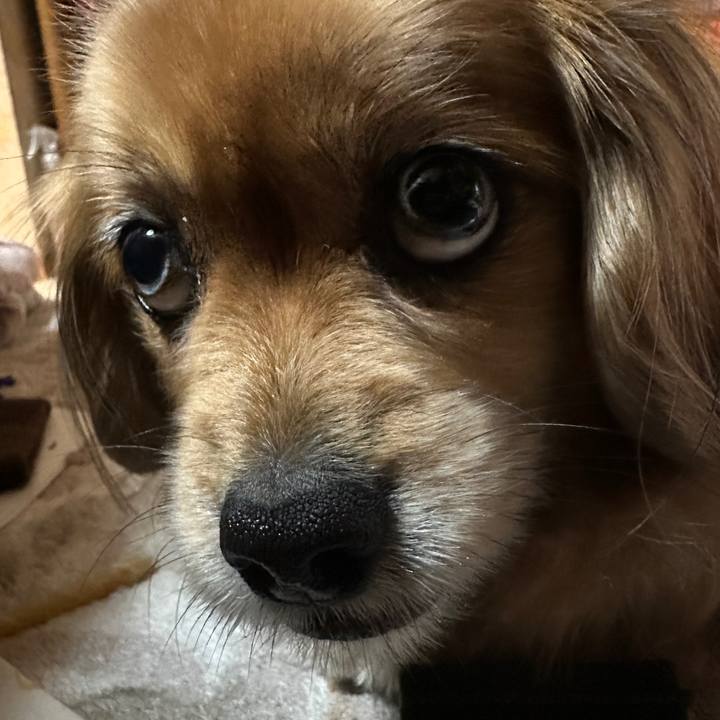 Fe1c310b 94f4 4158 92ce aa5e1643f6bb 1708291464826