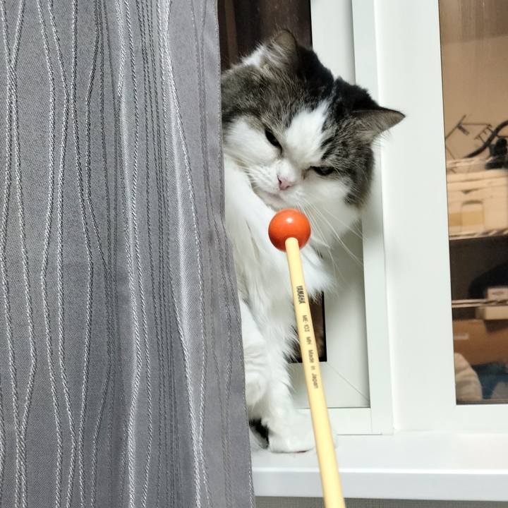 Fe1c41d7 516b 4431 83f7 4baf6fa2c9c0 1770638757456