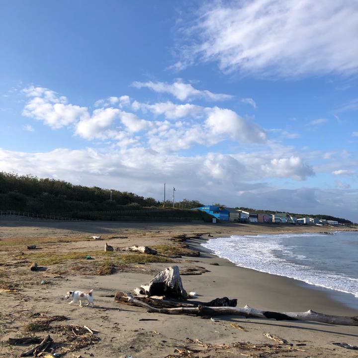 Fe1c6ed2 f68a 4577 8b8d 709468e44853 1603668435693