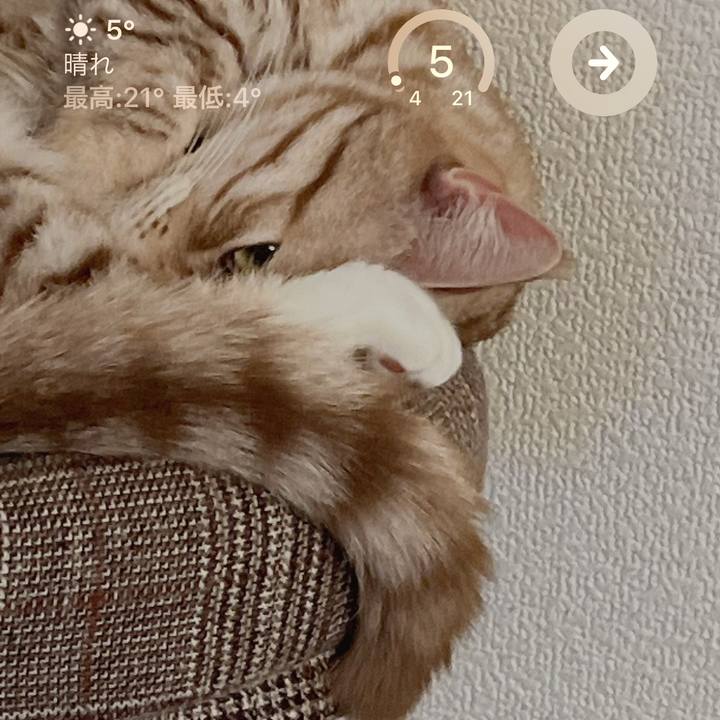 Fe1c87ad 56f5 4461 9ee8 67e76cb38db0 1681074376951