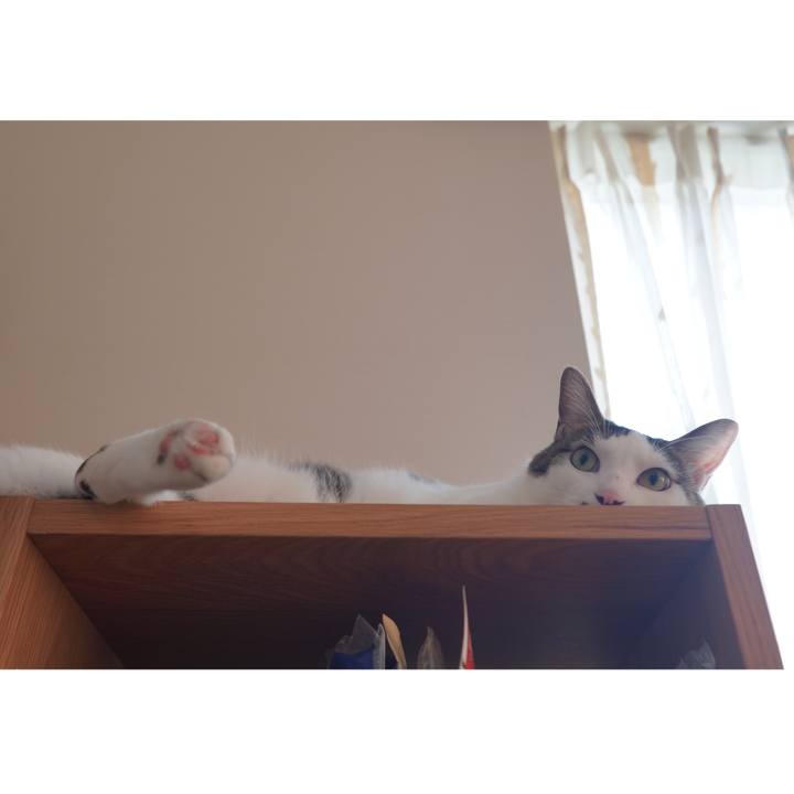 Fe1ca588 5a87 4829 a260 a51836d40eaa 1599729933186