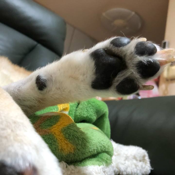 Fe1cabb5 41fa 4716 b156 dbbbf7b72a1b 1585980686572