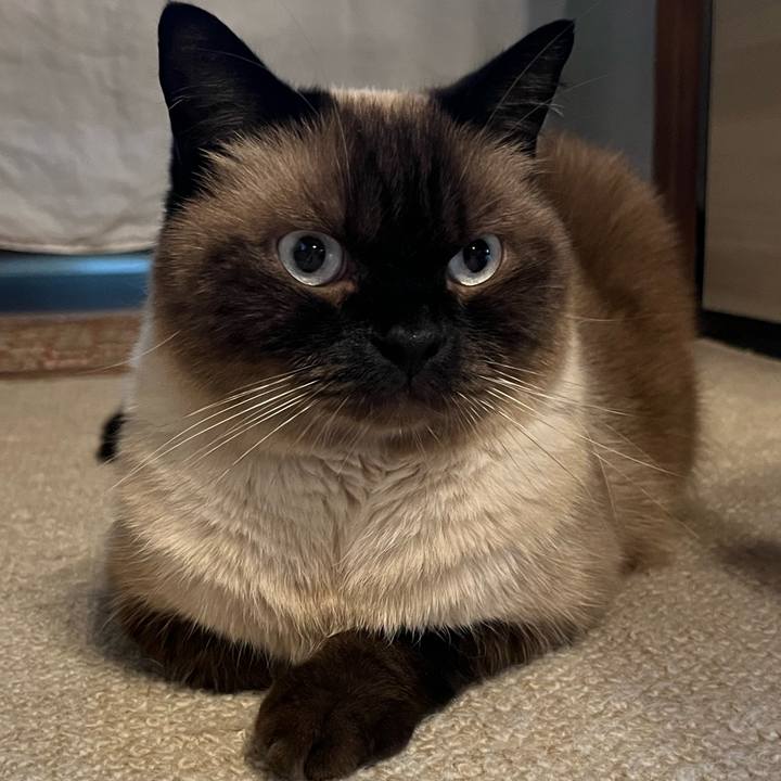 Fe1ceb9e 7203 43ed b785 8b2ee1b0c8d7 1659777004555