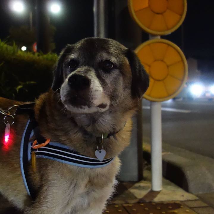 Fe1d12f7 ab6f 4172 8b34 06efea24ac85 1568372644659