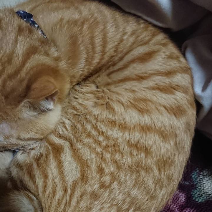 Fe1d1874 7614 493a 98f0 8784c5db45e7 1641558512154