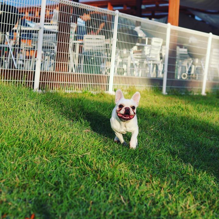 Fe1d38e5 030b 4327 ac66 8a85970562cc 1510105803133