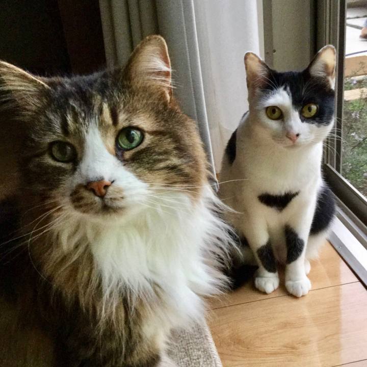 Fe1d58ca 62da 4aa9 a3fa a94a1b487746 1524964425117