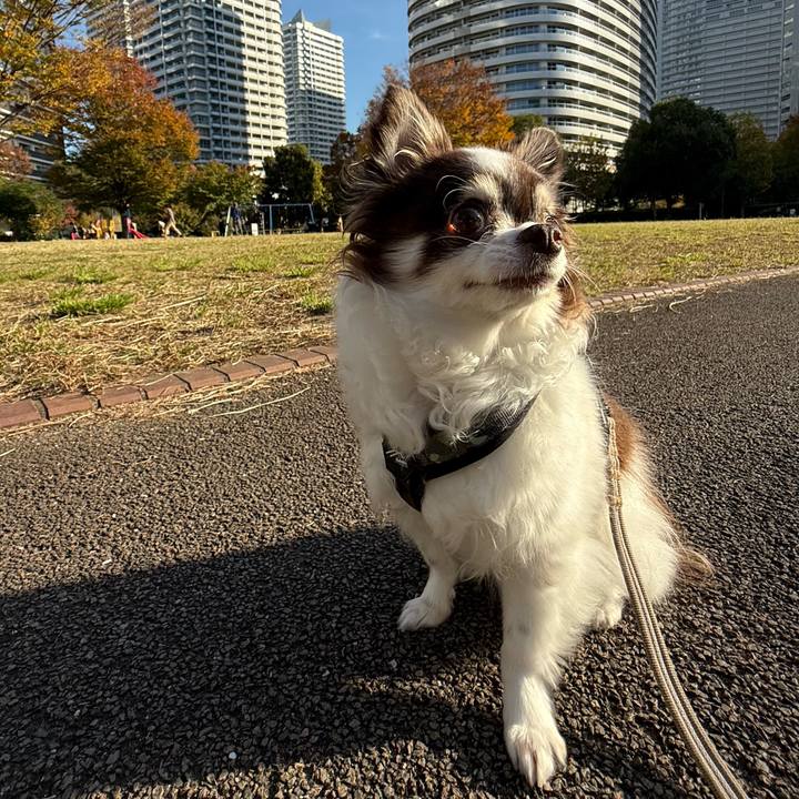 Fe1d6d91 aba1 483b 9004 285e9c73682f 1763277338197