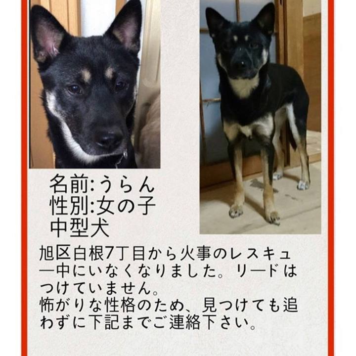 Fe1d785c ed62 4e57 8812 3aac17009e90 1550148493807