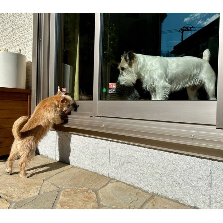 Fe1da8f4 c13e 400e 9039 90330899640c 1705150985059