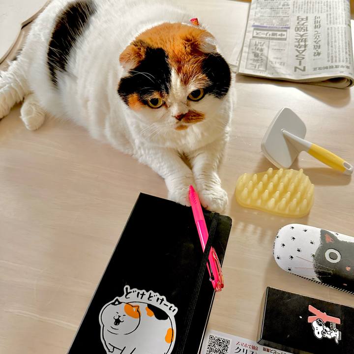 Fe1da93d fcde 491f 8c17 ce9c07d5d332 1670992198847