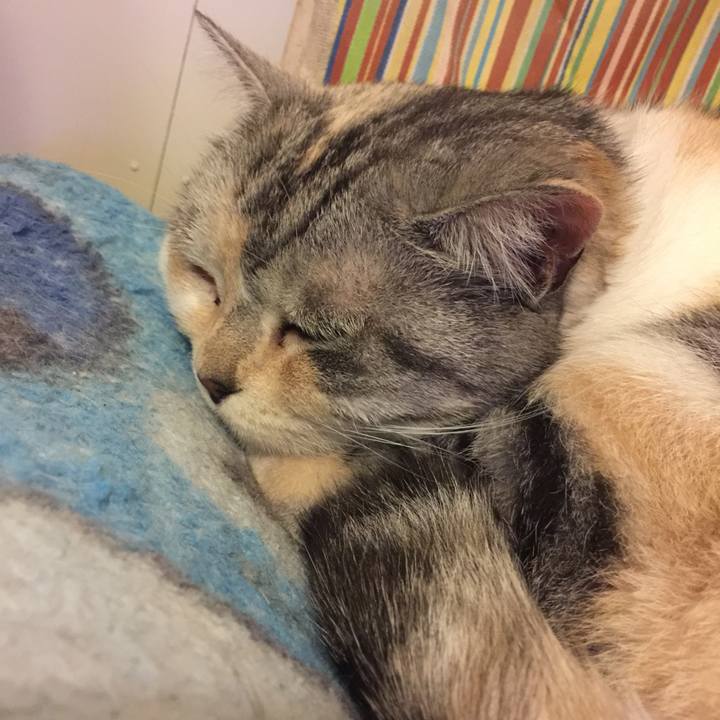 Fe1dde0f 9610 4818 b73e f04efdc7aa76 1559750133469