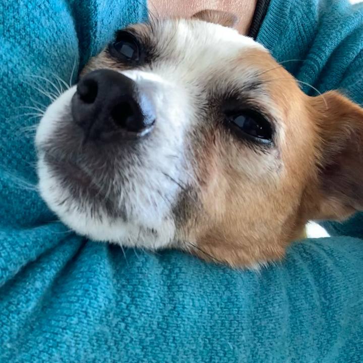 Fe1e3087 ad7d 4606 85f7 0011efa8ecfe 1647841991836